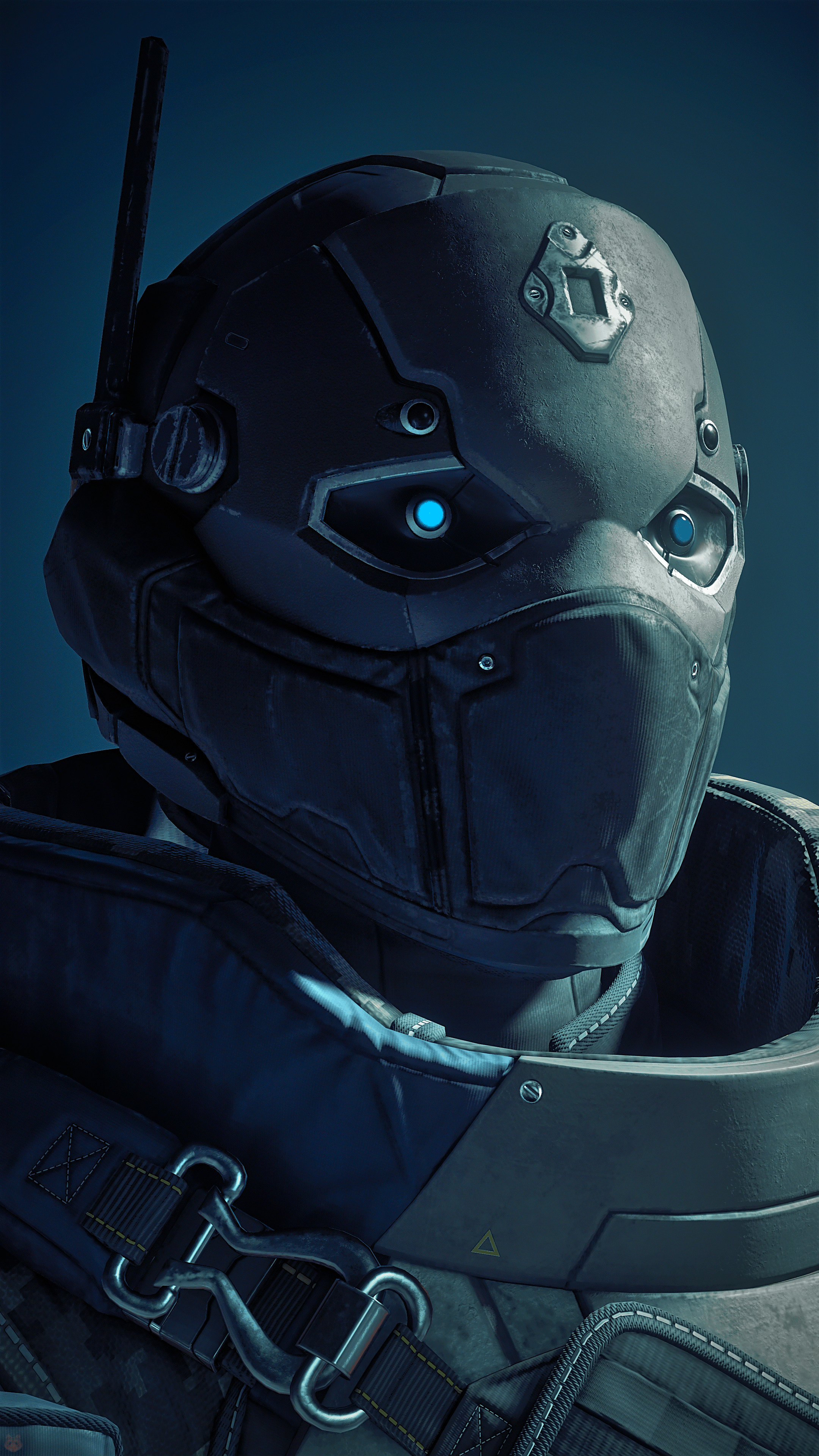 Fieldsbury Dark Bear Helmet - Star Citizen Wiki