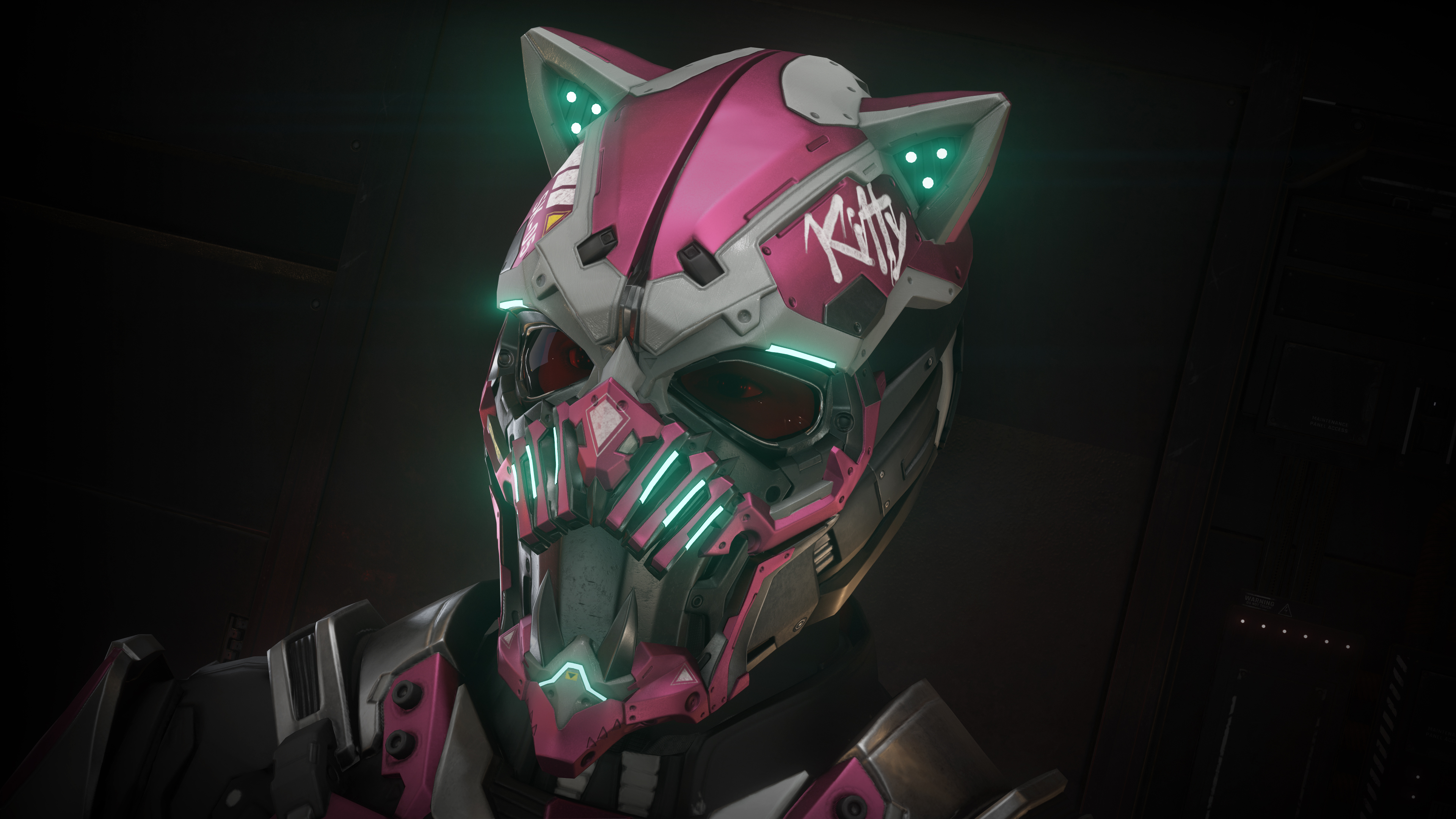 Kitty sales cat helmet