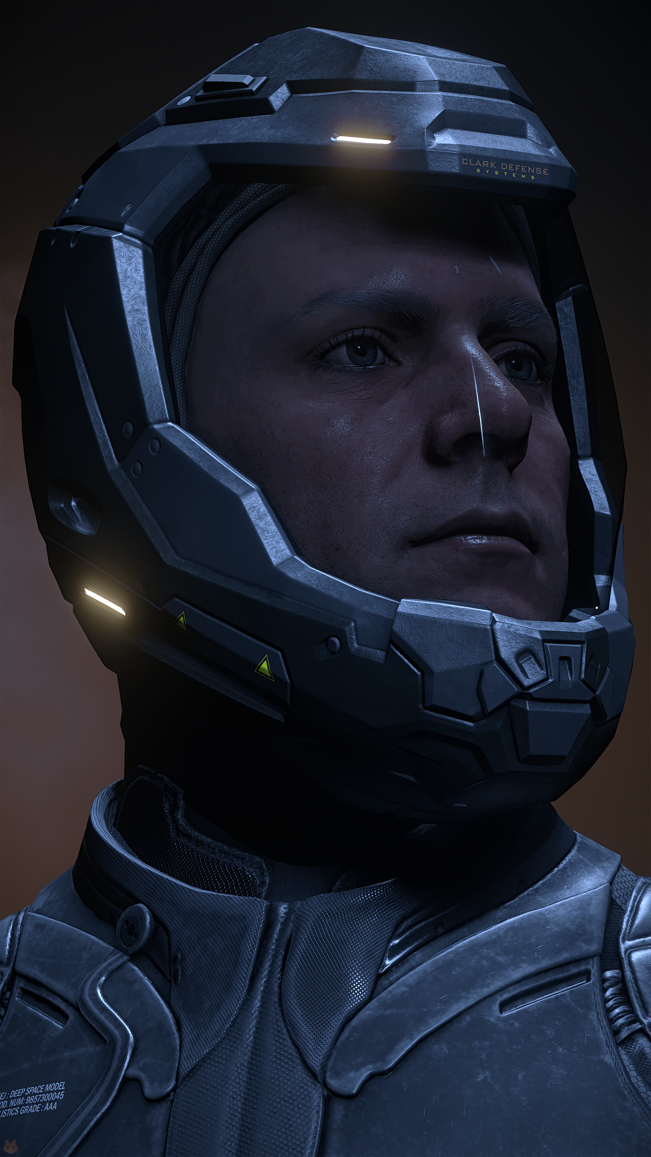 Fieldsbury Dark Bear Helmet - Star Citizen Wiki