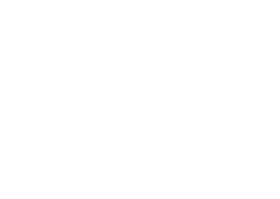 Fiore logo a diff.png
