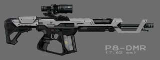 P8-DMR.jpg