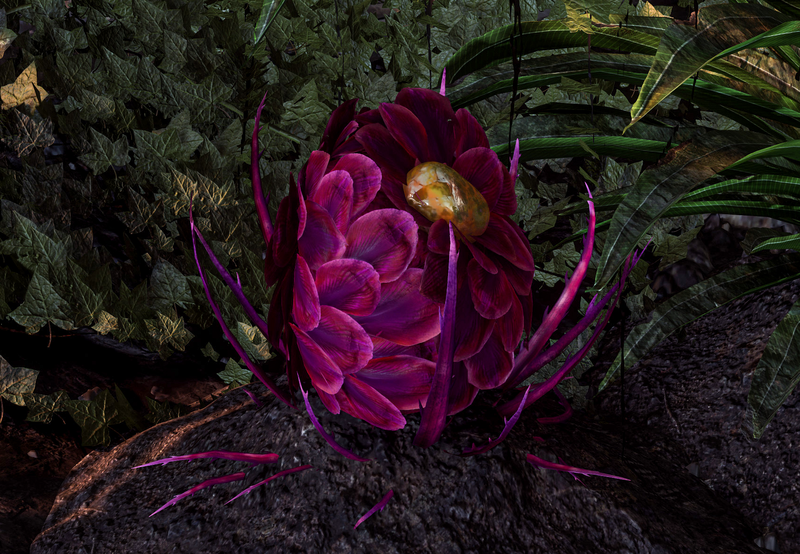 File:Flora - Plant with Degnous Root - Bloom, Pyro system.png