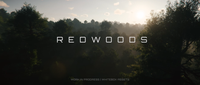 Redwoods.png