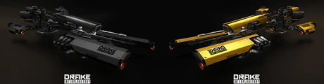 DragonflyBlackAndYellowjacketSideBySide.png