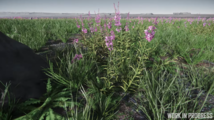 Microtech-fields-biome-05.png