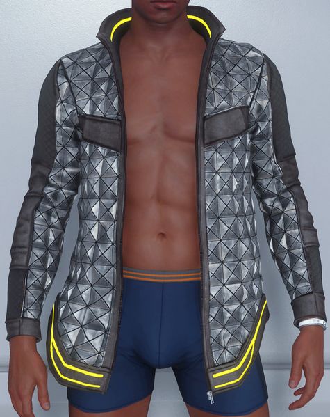 File:Clothing-Jacket-987-Tempo-Silver.jpg