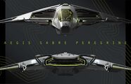 Sabre Peregrine brochure - Front and rear.jpg