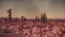 Hurston-desert-biome-3.8.jpg